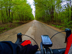 PXL 20220419 145811384.PORTRAIT