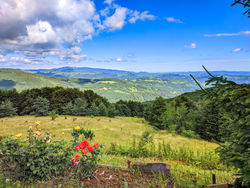 PXL 20220711 103211069