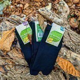 LMC17 20231107 170228 lmc 8.4