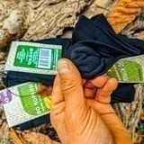 LMC17 20231107 170313 lmc 8.4