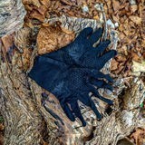 LMC17 20231107 170716 lmc 8.4