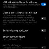 05 developer options 01