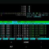 LLM 01 photo 2024 02 22 19 29 04