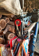 IMG 20230223 082314 1