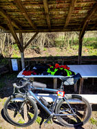 IMG 20230330 150638 1 1