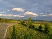 IMG 20210520 193749801