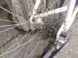 IMG 20210521 113139935