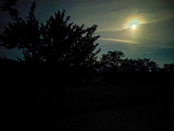 IMG 20210523 022059981.NIGHT