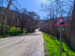 IMG 20210410 102923186