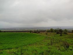 IMG 20210419 171344102